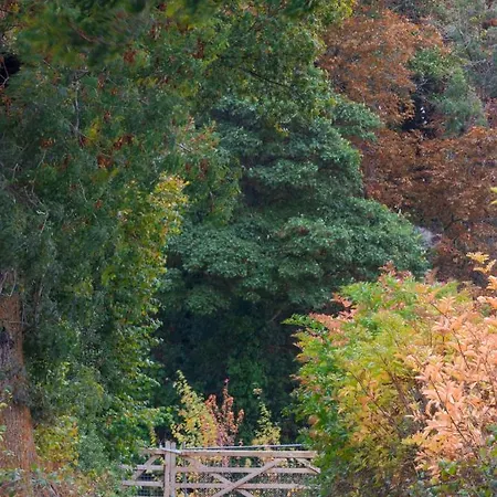 Hollins Farm - Dog Friendly, Self Catering *