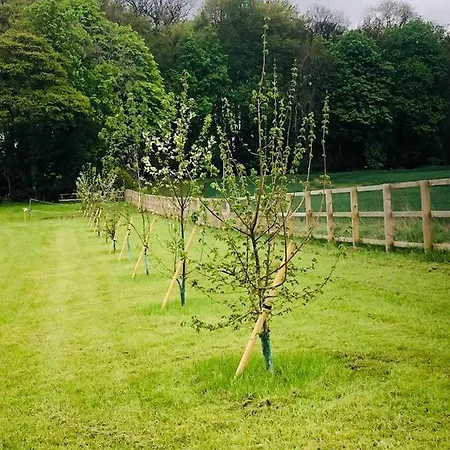 Lodge Hollins Farm - Dog Friendly, Self Catering *