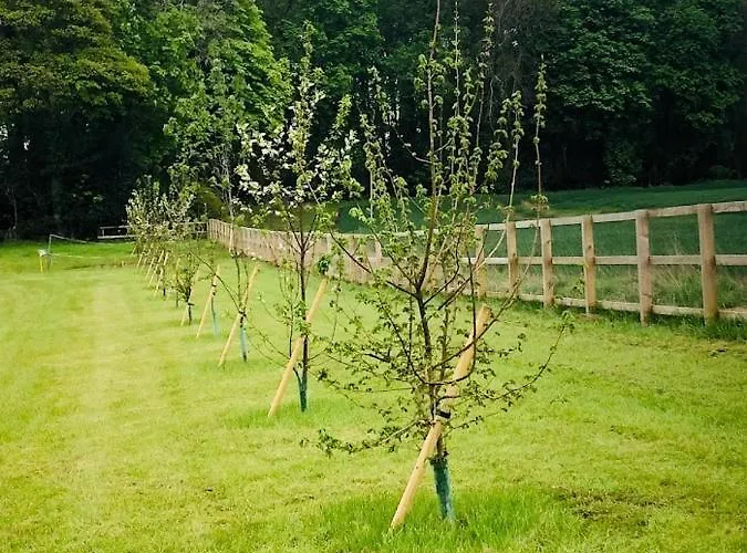 Lodge Hollins Farm - Dog Friendly, Self Catering *